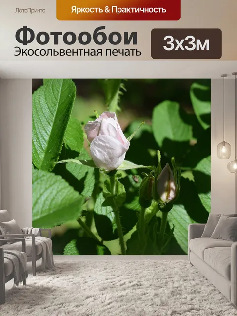 Фотообои Бледно-розовый бутончик