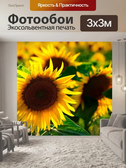 Фотообои Подсолнечник, желтый цветок, Helianthus