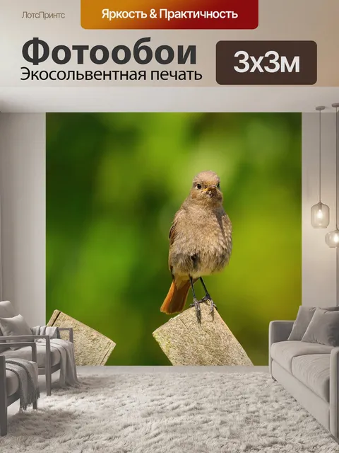 Фотообои Воробей