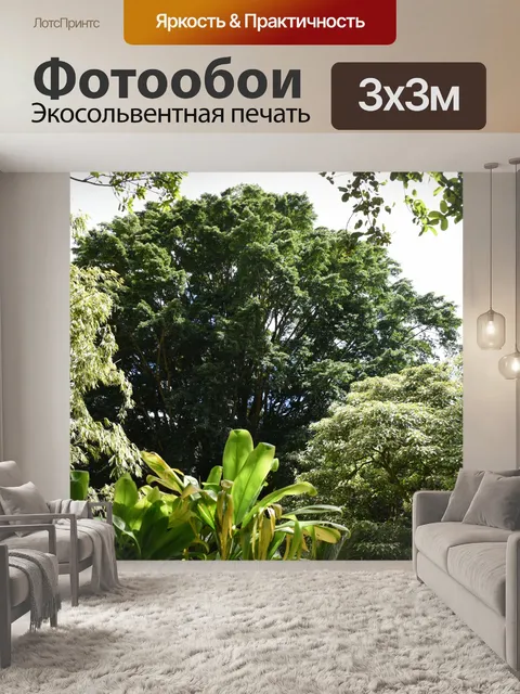 Фотообои Деревья тропического леса