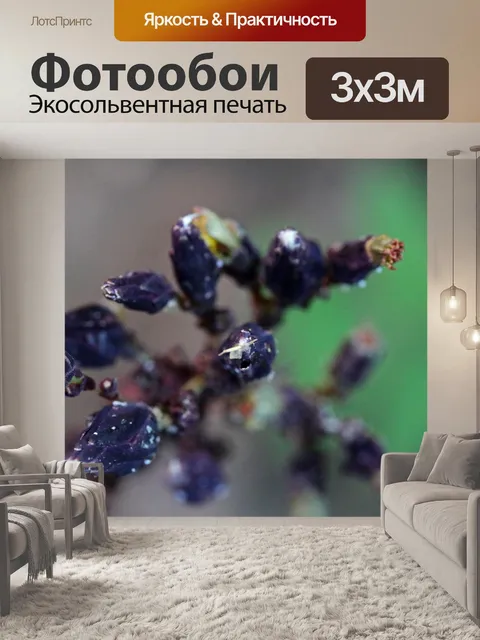 Фотообои цветочные бутоны на красном базилике