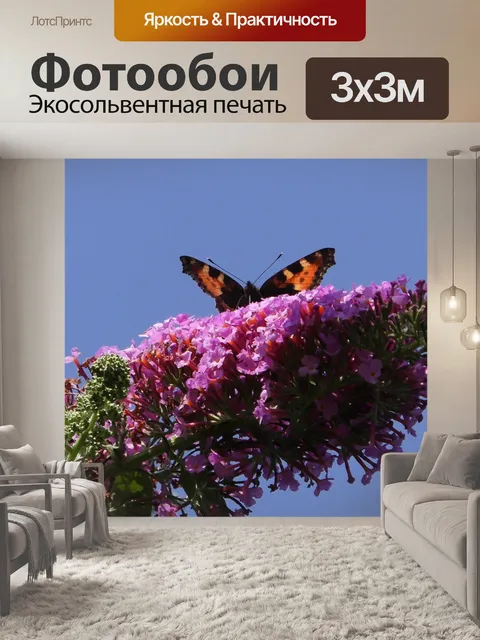Фотообои Бабочка дерево
