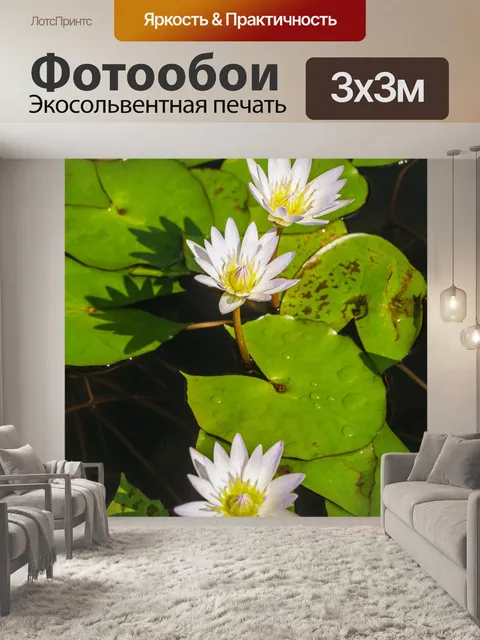 Фотообои красивый цветок лотоса