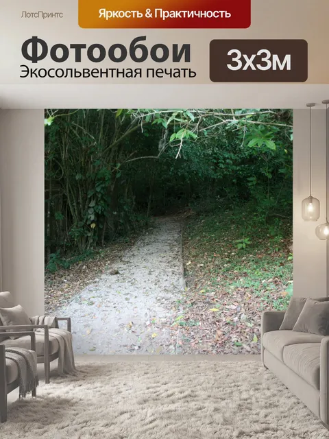 Фотообои Коста-Рика Trail