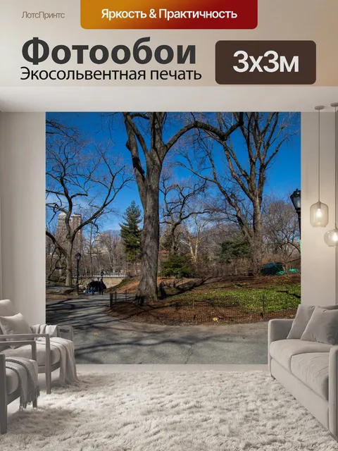Фотообои Центральный парк, Нью-Йорк