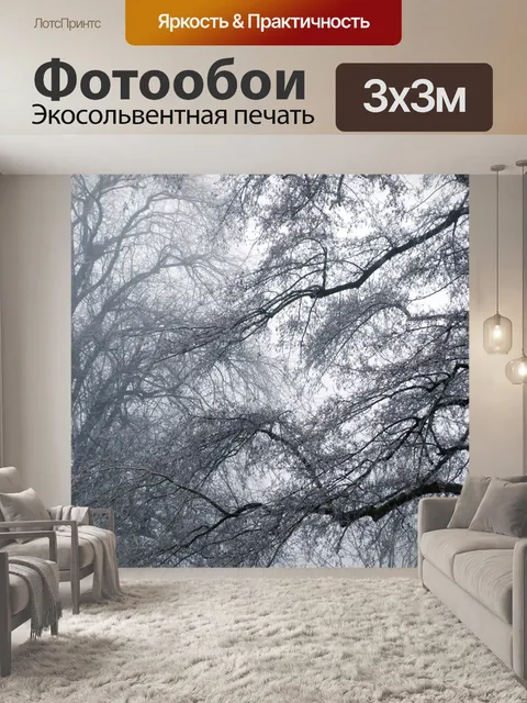 Фотообои Зимний туман