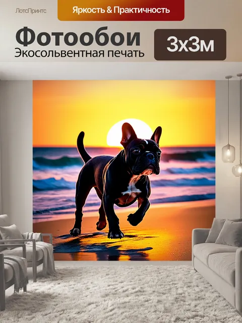 Фотообои эта сцена изображает французского бульдога, бегущего по пляжу при закате