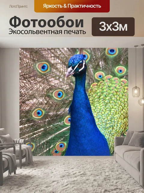 Фотообои Павлин