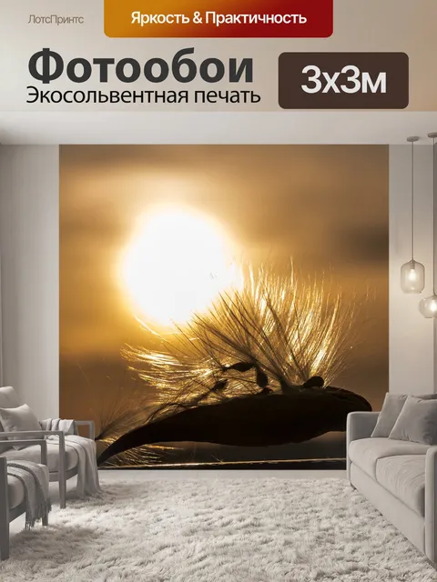 Фотообои Закат