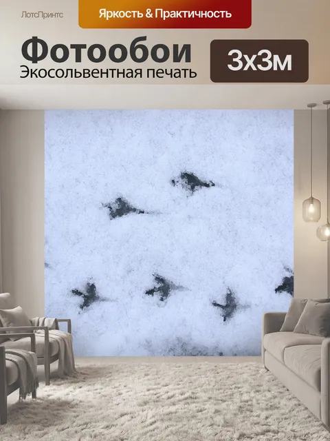 Фотообои Следы на снегу