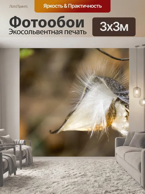 Фотообои Мой бог
