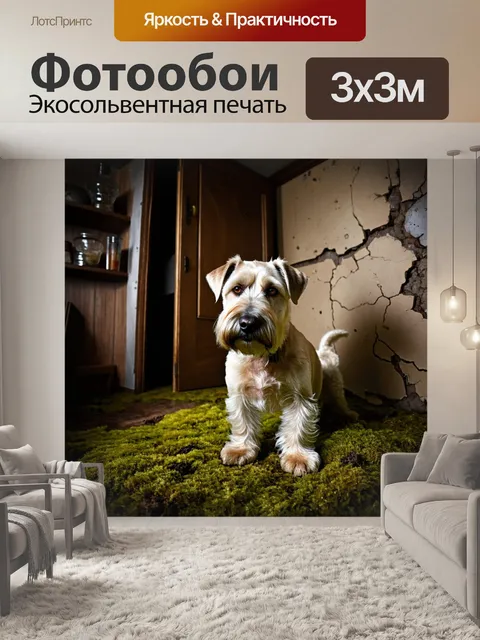 Фотообои заброшенный дом, в котором ирландский мягкошерстный пшеничный терьер нашел приют, трещины на стенах, мох на…