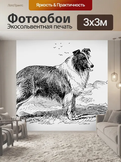 Фотообои Колли Собака Винтаж Иллюстрация