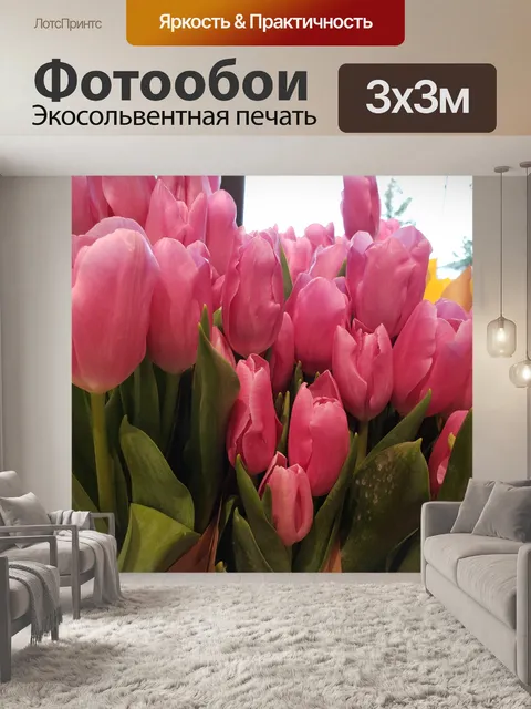 Фотообои Розовые тюльпаны