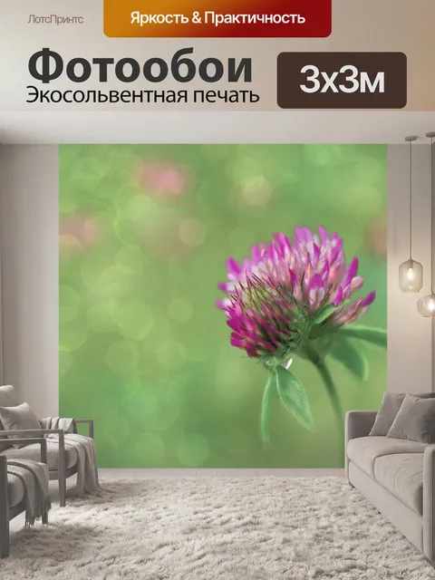 Фотообои Клевер цветущее полевое растение