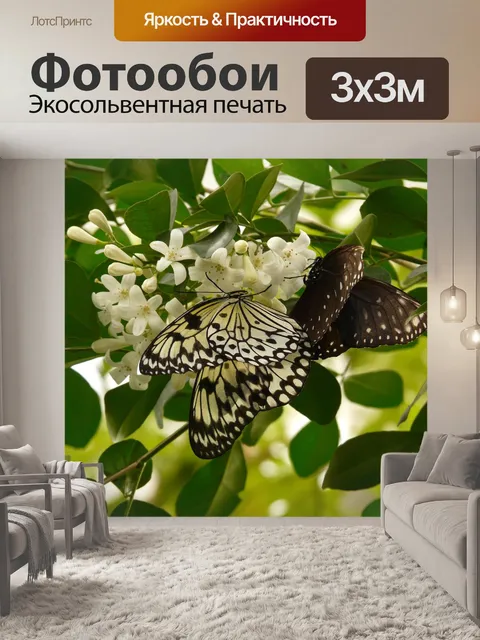 Фотообои Нимфа белого дерева