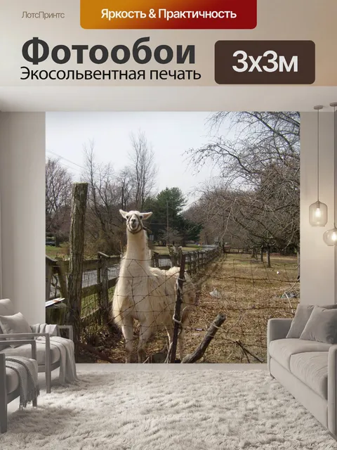 Фотообои Альпака и fence