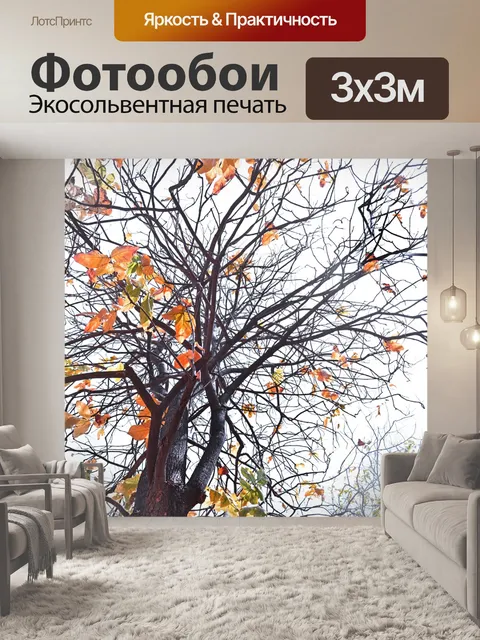Фотообои Падение дерева 4