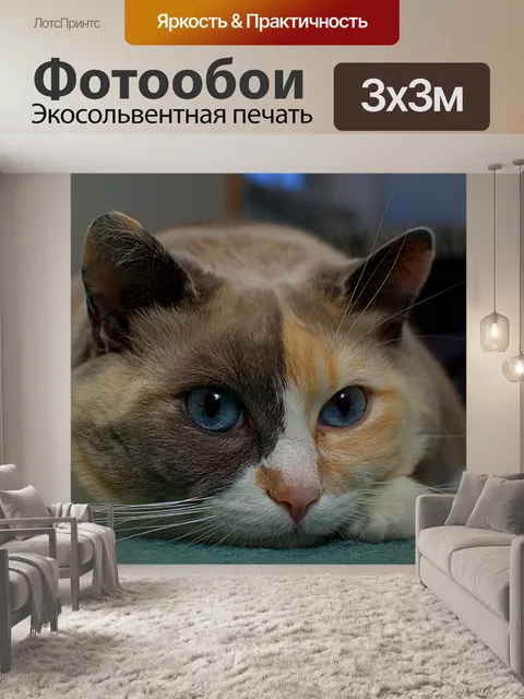 Фотообои Милый