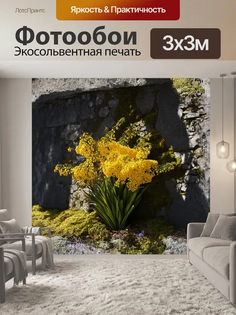 Фотообои мимоза, раскинувшая свои яркие желтые соцветия на фоне каменного забора, покрытого мхом