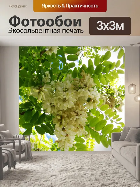 Фотообои Цветок акации