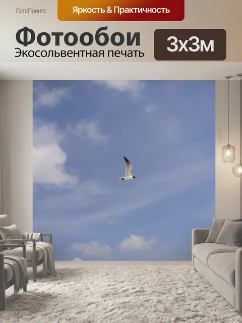 Фотообои Чайка