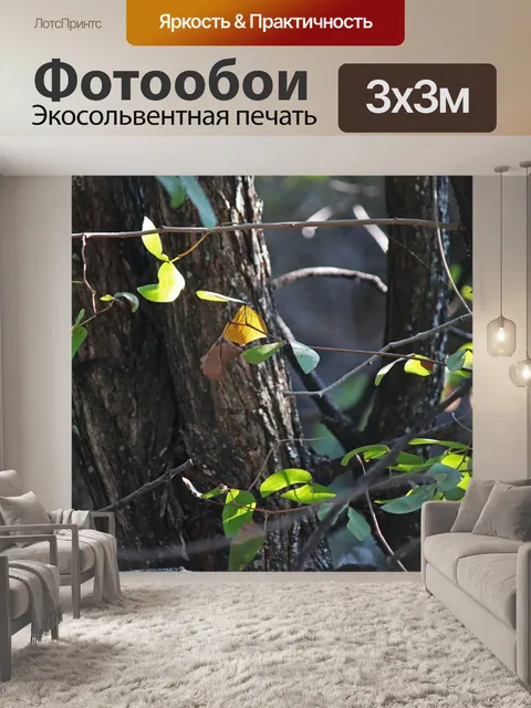 Фотообои свет на зеленый и желтый мопани
