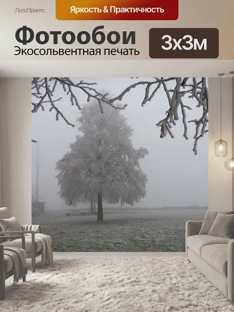 Фотообои Морозное утро