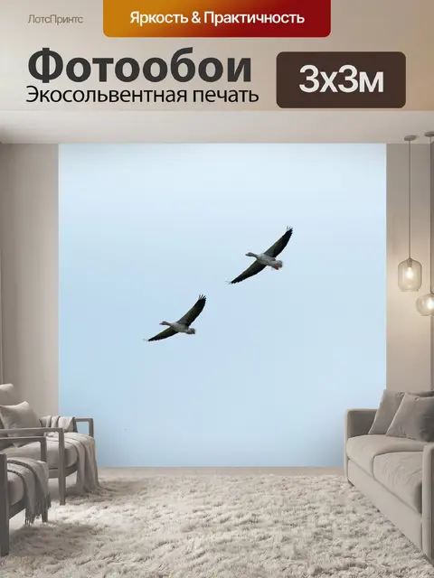 Фотообои Перелетные птицы