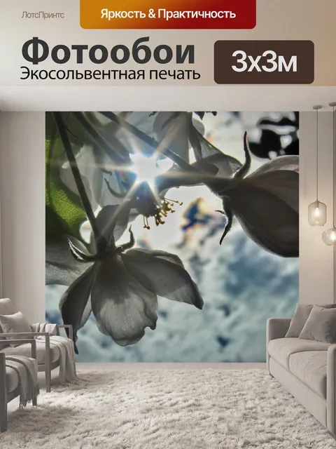 Фотообои Яблоневый цвет