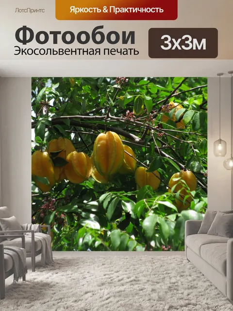 Фотообои Звезда плоды