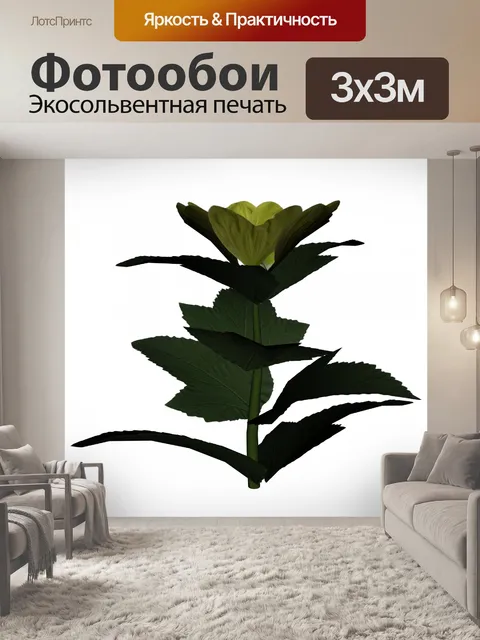 Фотообои желтый цветок II