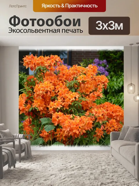 Фотообои Голландские цветы в садах 17
