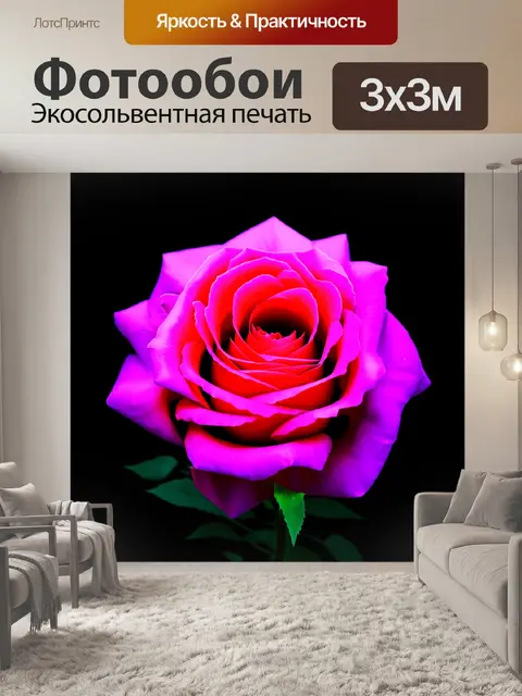 Фотообои розы в стиле футуризм, динамичные и яркие экспрессии, баланс между формой и цветом
