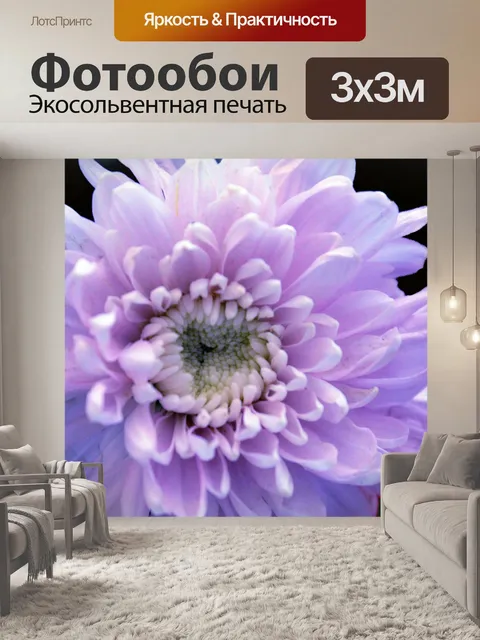 Фотообои Фиолетовый цветок