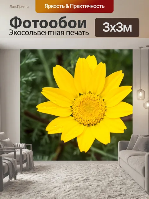 Фотообои Макрос