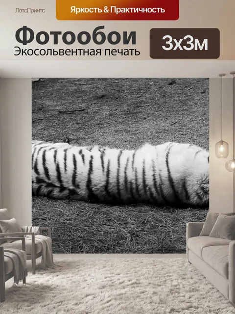 Фотообои Белый тигр