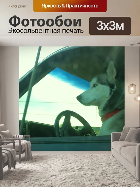 Фотообои Собака