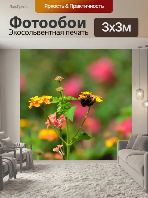 Фотообои Bumble Bee на цветы