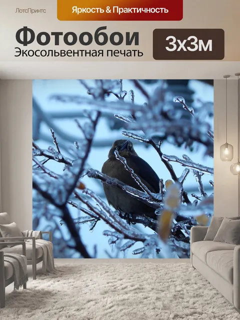 Фотообои Ледяные ветки