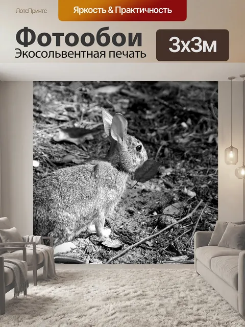 Фотообои Дикий кролик