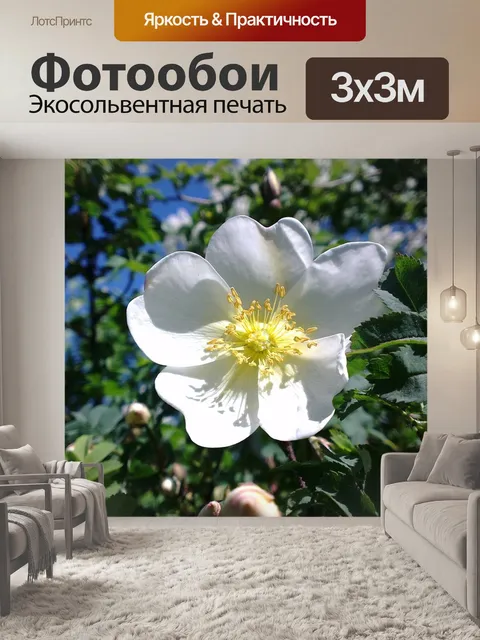 Фотообои Рось