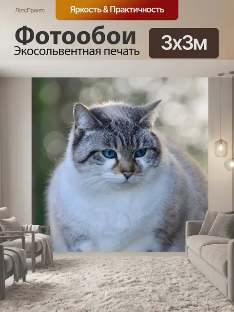 Фотообои Кошка