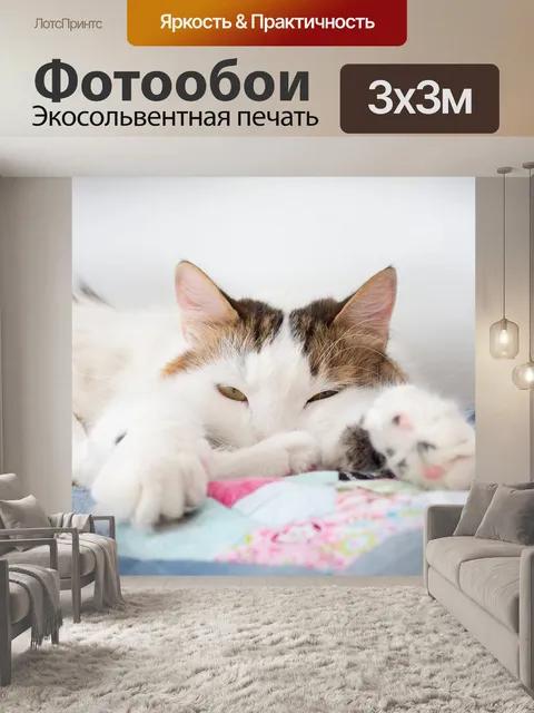 Фотообои Спит