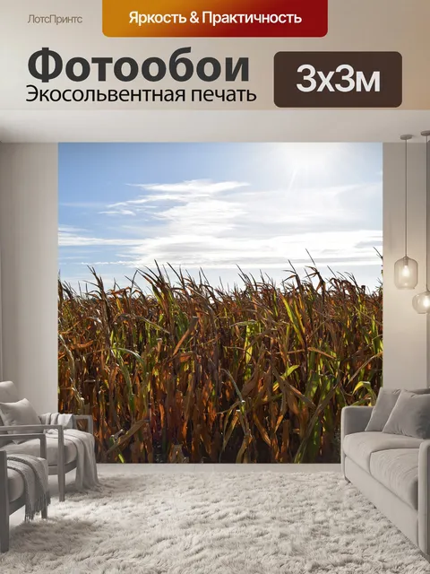 Фотообои Поле