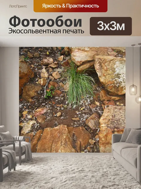 Фотообои гроздь зеленой травы с камнями