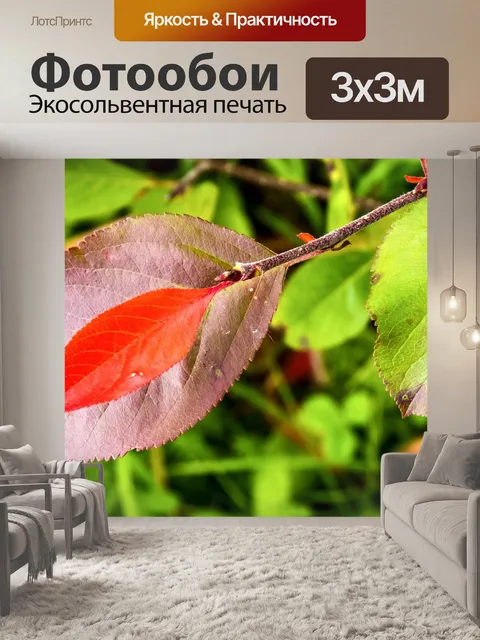 Фотообои Листья