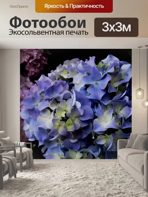 Фотообои Гортензии начинают цвести
