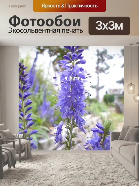 Фотообои Фиолетовый Синий цветы фиолетовые