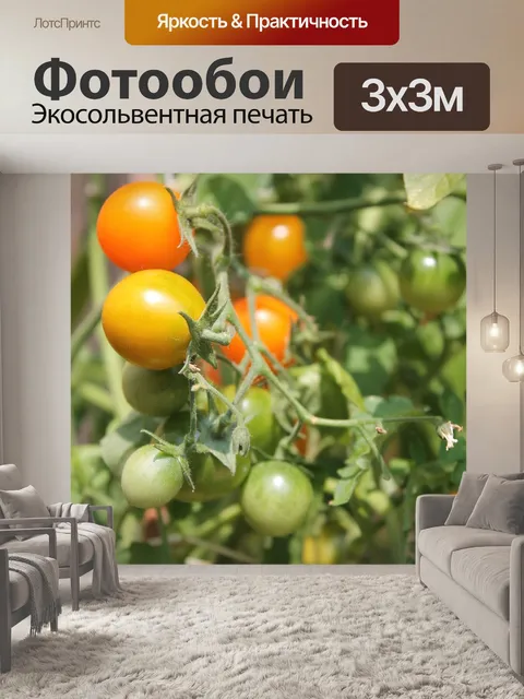 Фотообои Помидоры